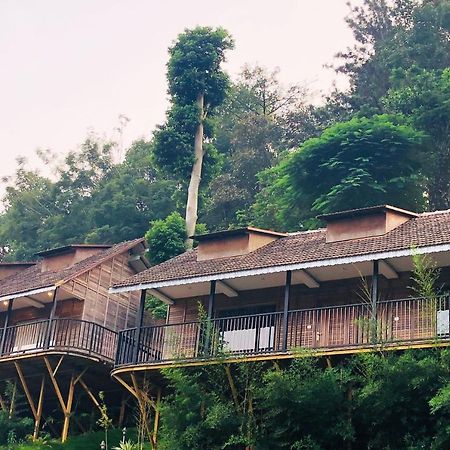 Dream Coconut Villa Resort Munnar Exterior photo